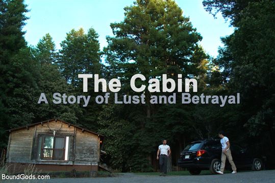 The Cabin Series The Story of Lust and Betrayal